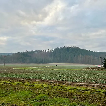 Διαμέρισμα Gemuetliche Gaestewohnung Waldblick Laasdorf