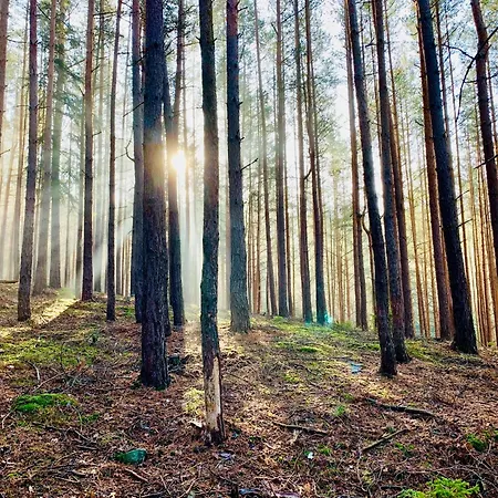 Gemuetliche Gaestewohnung In Mit Pool *