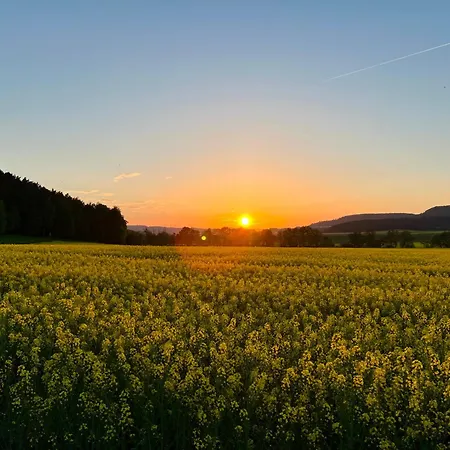 Apartment Gemuetliche Gaestewohnung In Mit Pool