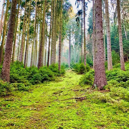 Gemuetliche Gaestewohnung In Mit Pool *