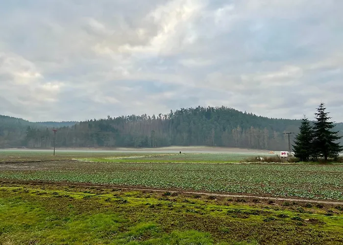 Apartamento Gemütliche Gästewohnung In Mit Pool Laasdorf