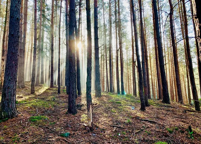 Gemütliche Gästewohnung In Mit Pool *