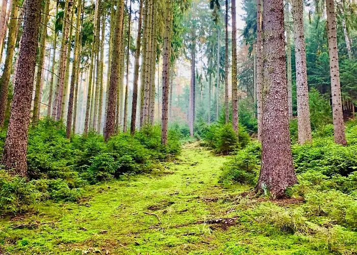 Gemütliche Gästewohnung In Mit Pool *